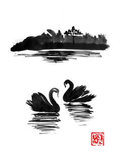 Swan Island 02