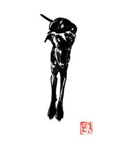 Black Dog 2