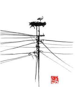Storke Nest