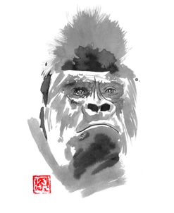 Gorilla 2