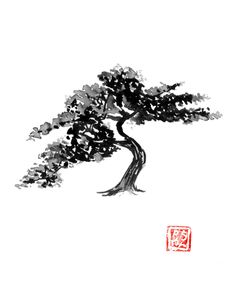 Bonsai