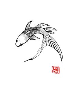 Carp Koi Turning