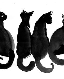 4 Black Cats