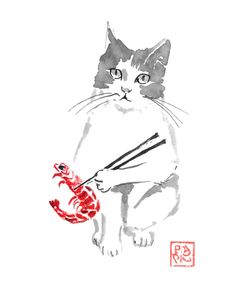 Cat And Shrimp