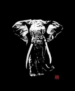 Elephant In Dark