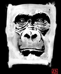 Gorilla White In Black