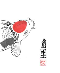 Carp Koi Close Up