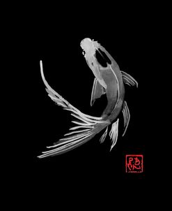 Carp Koi In Black