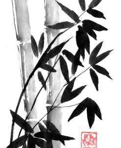 Bamboos