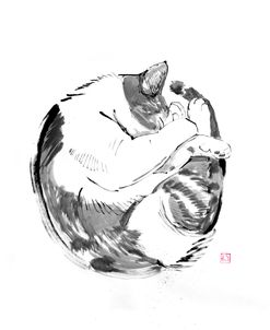 Round Cat