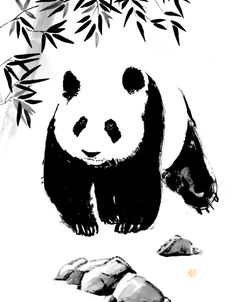 Panda Walking