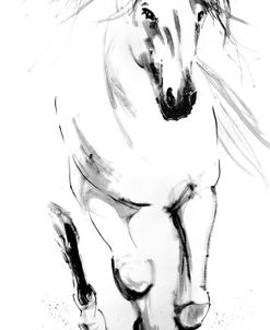 Running Horse