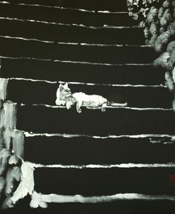 Cat On Stairs 40X40 Toile Noire Sur Carton