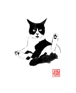 Celaing Cat