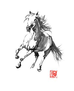 Horse 02