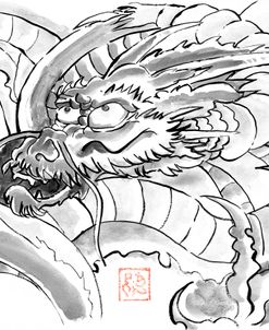 Dragon Full Frame