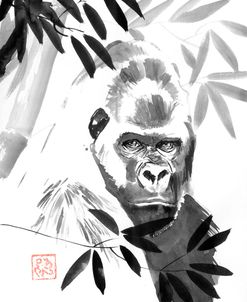 Gorilla In The Bamboos