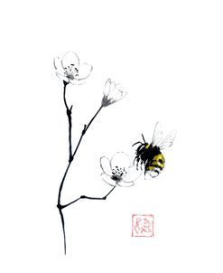 Sakura And Bumblebee
