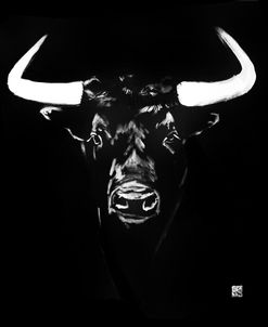 Toro