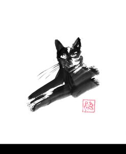 Rough Cat 2026