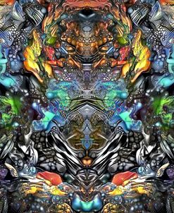 Evolution
