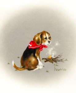 Beagle Scout