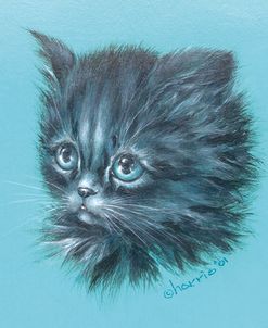 Black Kitten – 23A