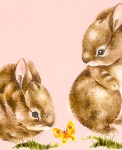 Bunnies