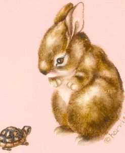 Bunny And Turtle