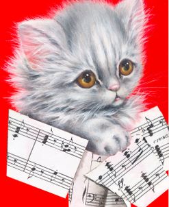 Music Cat – 12A