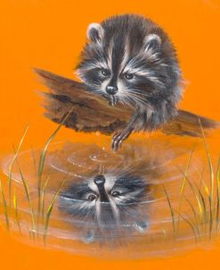 Reflective Racoon – 35A