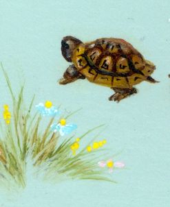 Spring Fling – Trutle And Snail