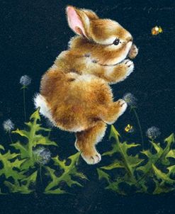 Starry Starry Night Bunny