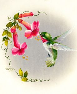 Hummingbirds With Trumpet Flowers 1