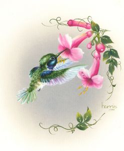 Hummingbird With Trumpet Flowers 2