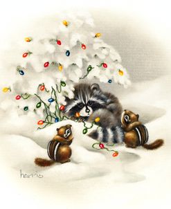 Raccoon/ Chipmunks/ Christmas Lights