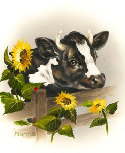 Bull & Sunflowers
