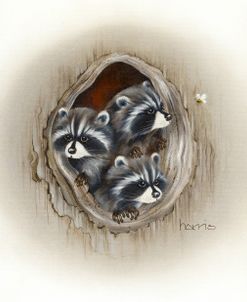 Raccoons In Hole