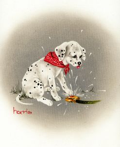 Dalmation 3- Sprinkles