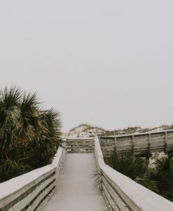 Board Walk