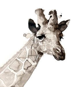 Wildlife Girafe