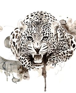 Wildlife Leopard