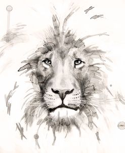Wildlife Lion