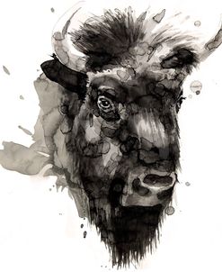 Wildlife Buffalo