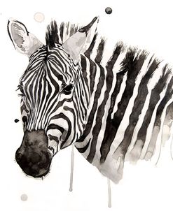 Wildlife Zebra 02