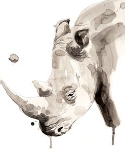 Wildlife Rhino