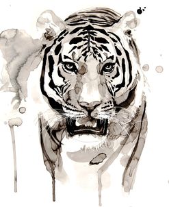 Wildlife Tiger
