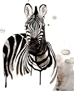 Wildlife Zebra 01