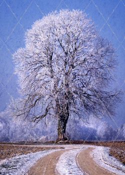 Philippe Sainte-Laudy