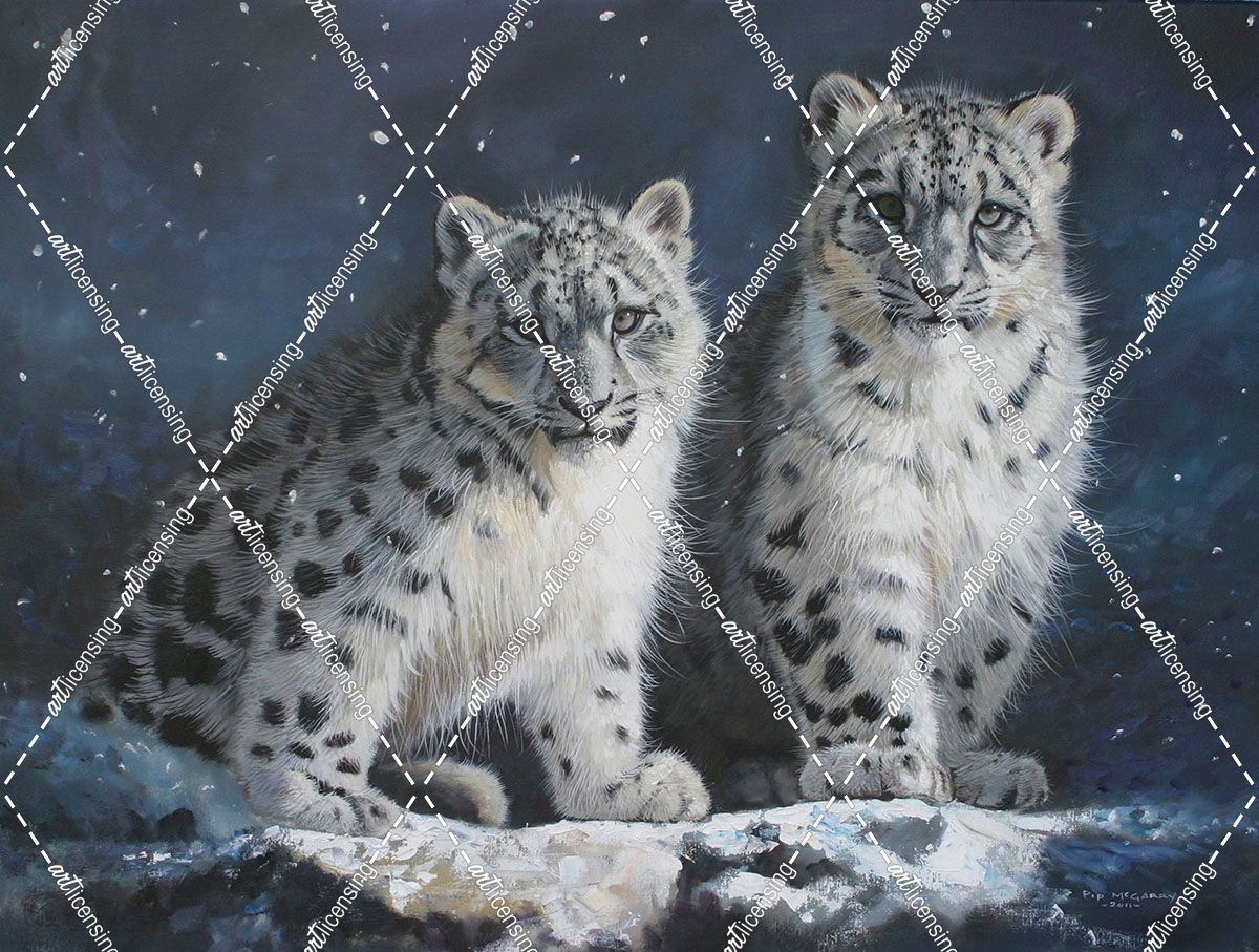 Young Snow Leopards Into the Dark 2011